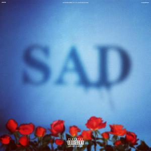 我七子的第一次狂欢
