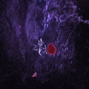 我七子的第一次狂欢
